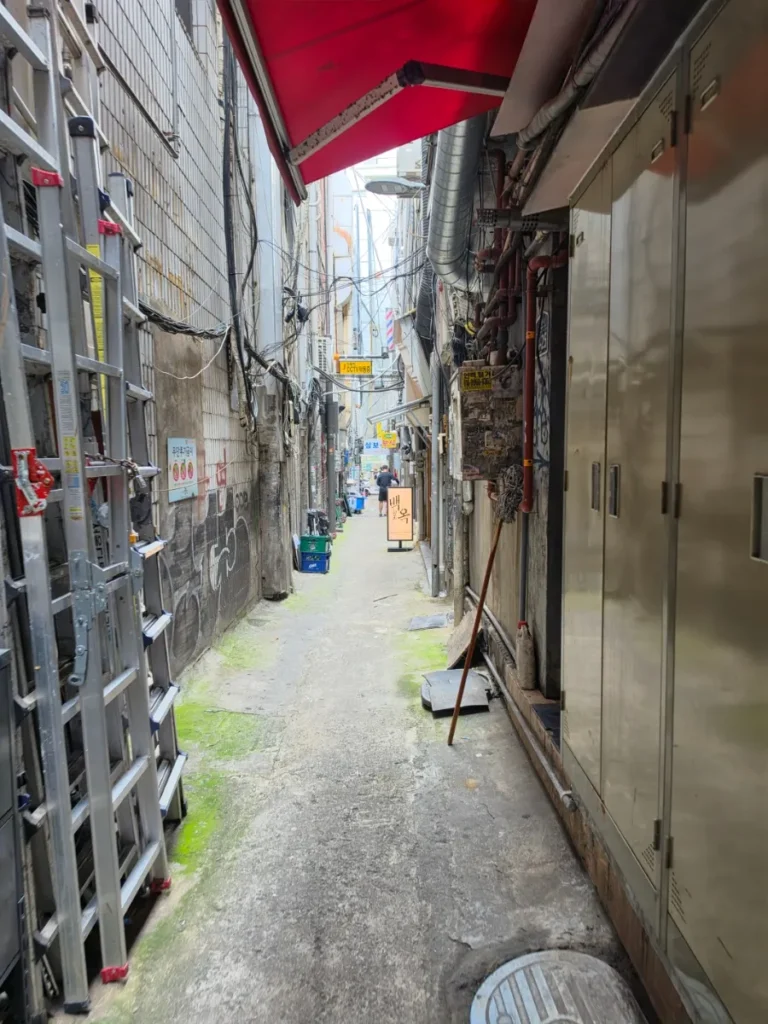 Hidden alley leading to Baekok Myeongdong restaurant