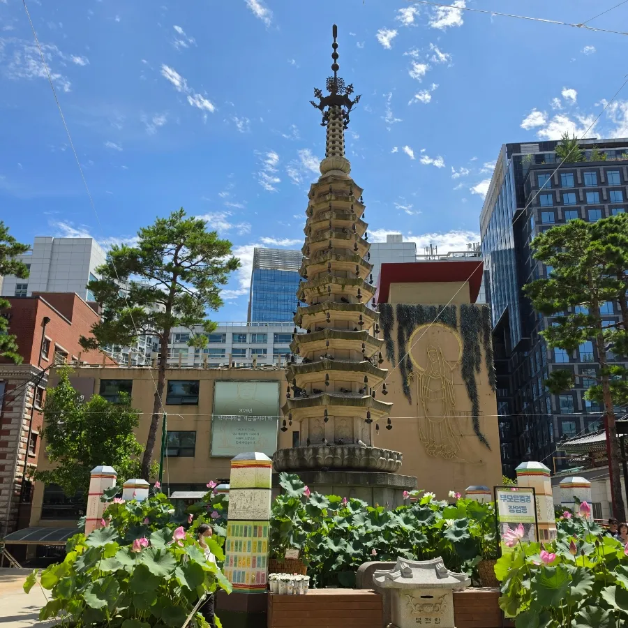Seven-story stone pagoda surrounded by lotus flowers at Jogyesa Temple