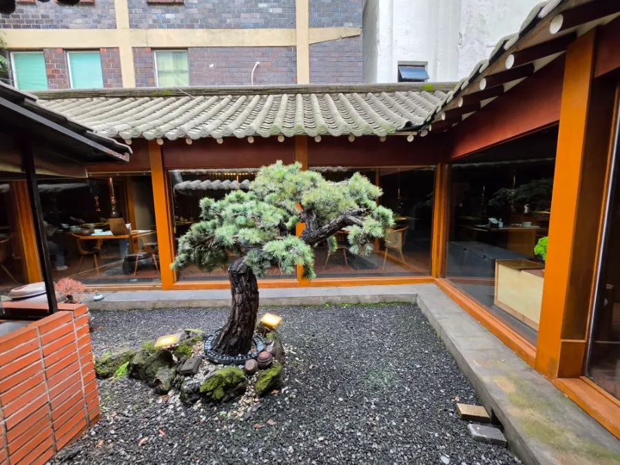 Pine tree growing in a gravel courtyard surrounded by tiled roofs at Tonguidong Gukbingwan.
