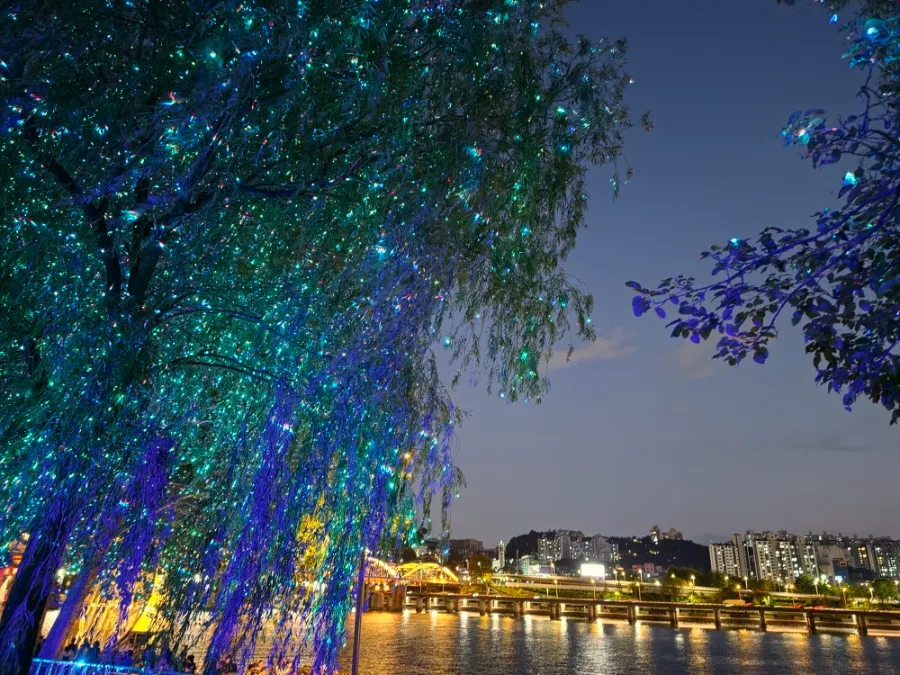 Illuminated willow tree beside the Han River at Nodeul Island