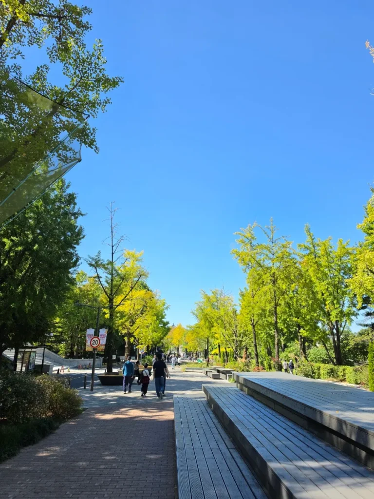 Early autumn walkway at Seoul Children's Grand Park in October
