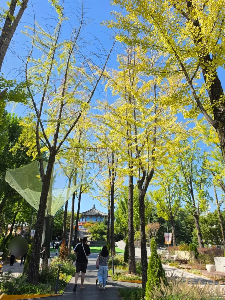 Yellow ginkgo trees at Seoul Children's Grand Park in autumn